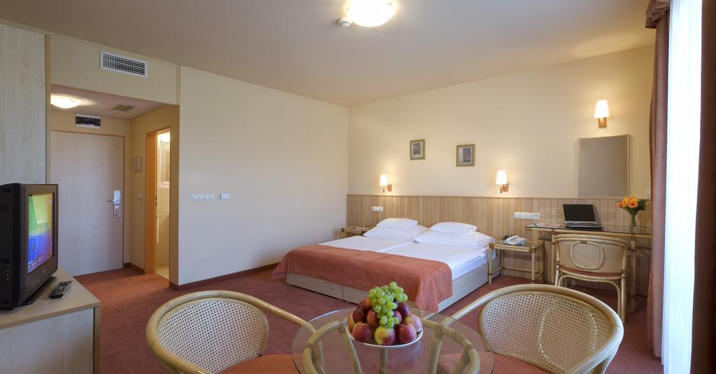 Martfu Hotel Thermal Spa Værelse billede
